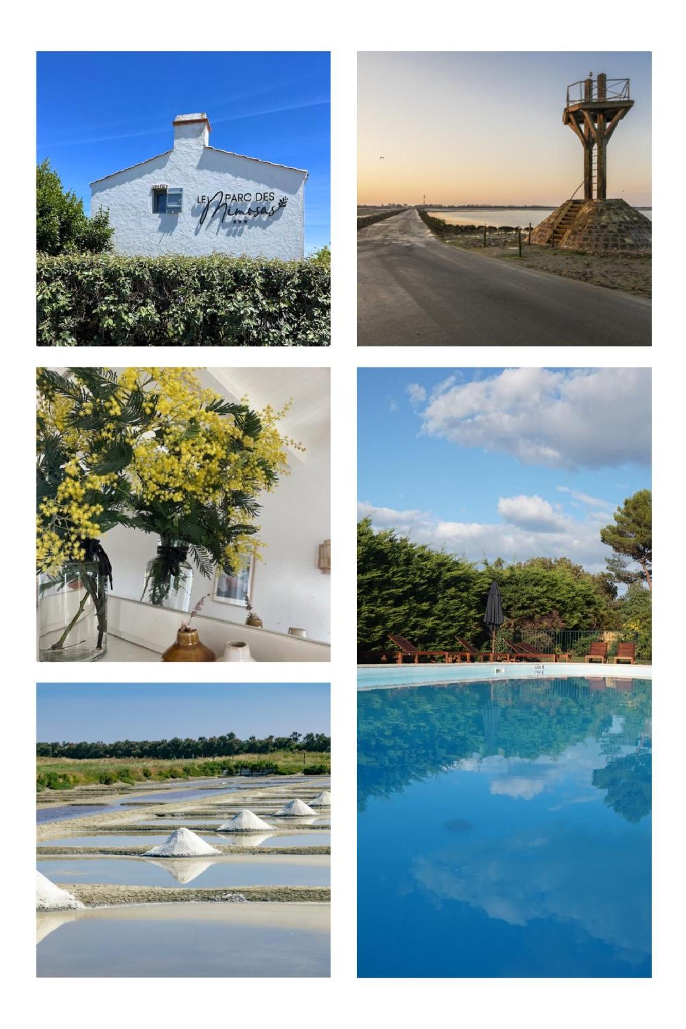 Вилла Le Parc Des Mimosas Нуармутье Экстерьер фото